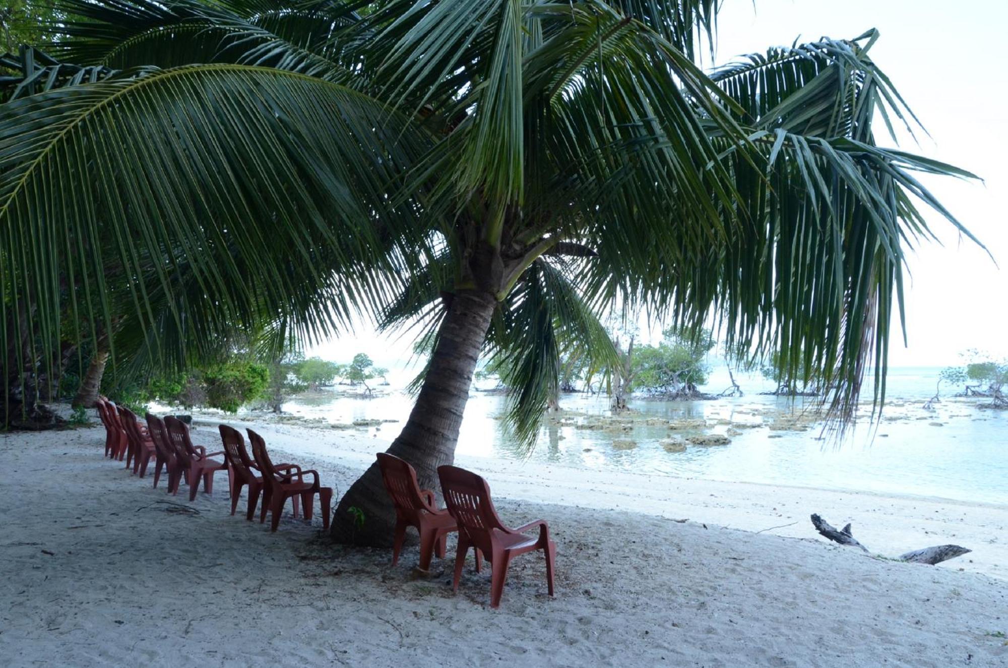 Coconhuts Beach Resort Lakshmanpur Exterior photo
